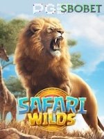 Safari Wilds